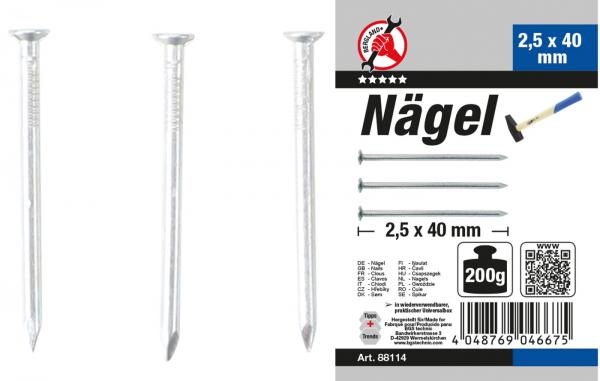 Nägel-Sortiment | 200 g | 2,5 x 40 mm