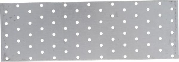Stahl-Lochplatte | 300 x 100 x 2 mm