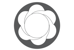 Spezial-Steckschlüssel