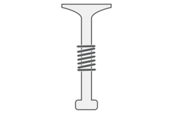 Ventil & Ventilfeder